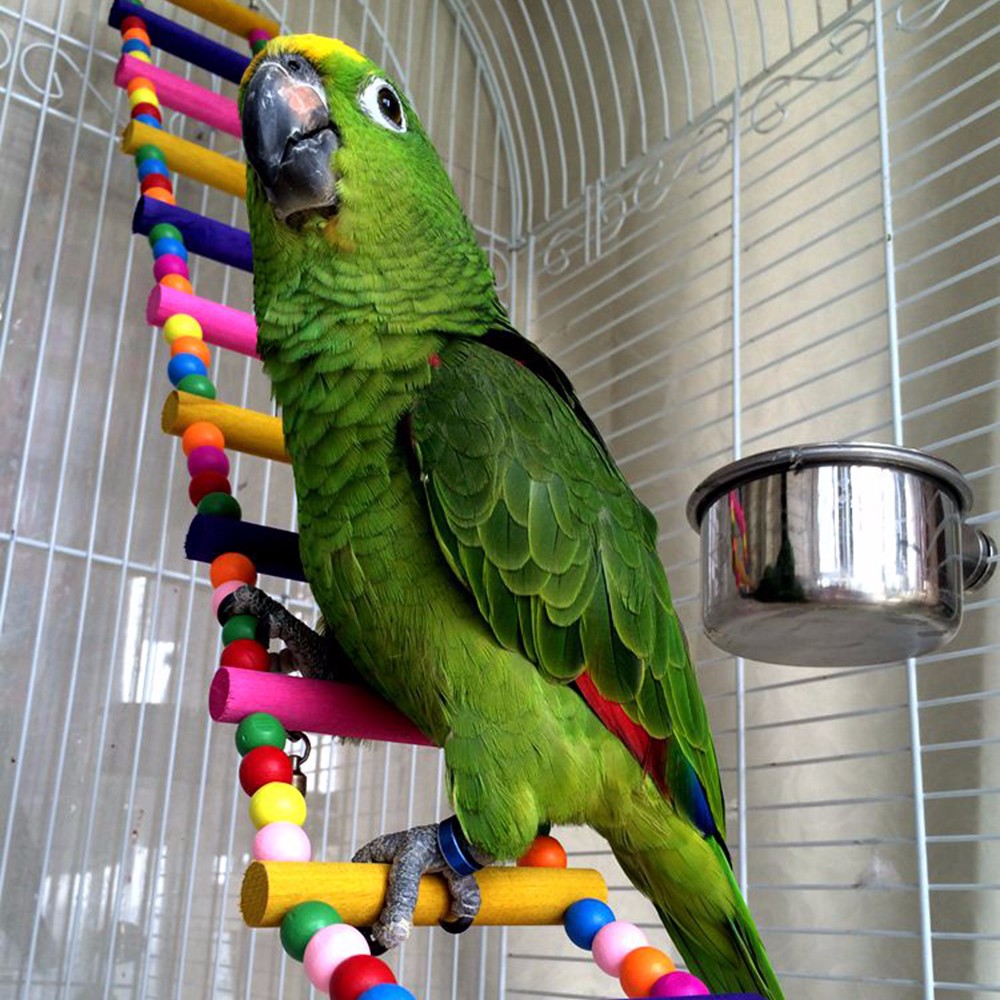 Funny-Colorful-Wooden-Pet-Bird-Toys-Ladder-Climb-Parrot-Drawbridge-Bridge-Macaw-Cage-Swing-Shelf-Singing-Parrot-Bites-Toys-PT0113 (8)