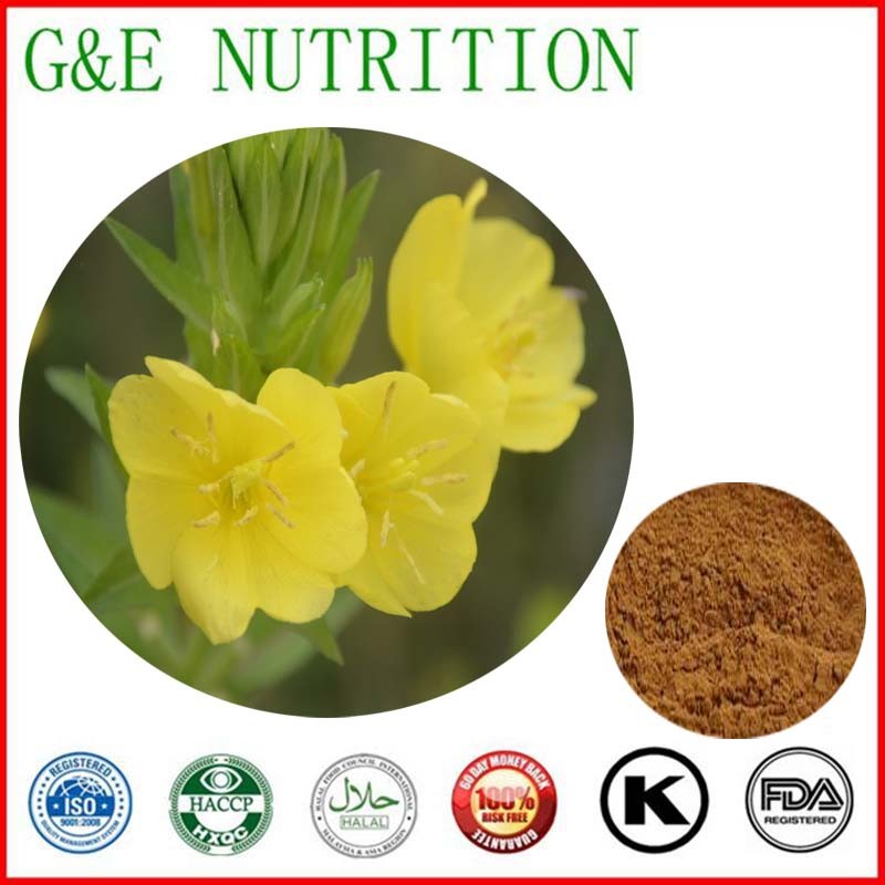 600g Pure Oenothera biennis/ Evening Primrose/ Onagre bisannuelle/ scabish Extract with free shipping