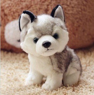 Бесплатная доставка 2015 каваи 22 см моделирования хаски собака плюшевые игрушки подарок для детей детские игрушки подарок на день рождения фаршированные плюшевые игрушки