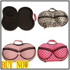 Ladies-HOT-Cute-Protect-BRA-Underwear-Lingerie-Storage-BAG-Travel-Organizer-Case_conew1