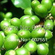 10 Packs 100 Pure Nature Green Coffee Bean Extract 500mg x 1000Caps for weight loss