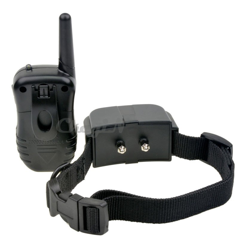 dog collars store