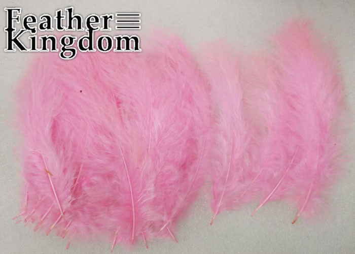 pink Turkey feather