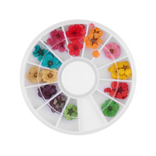 12 Color 36pcs Dried Dry Flower Nail Art Wheel Decoration Manicure Tips