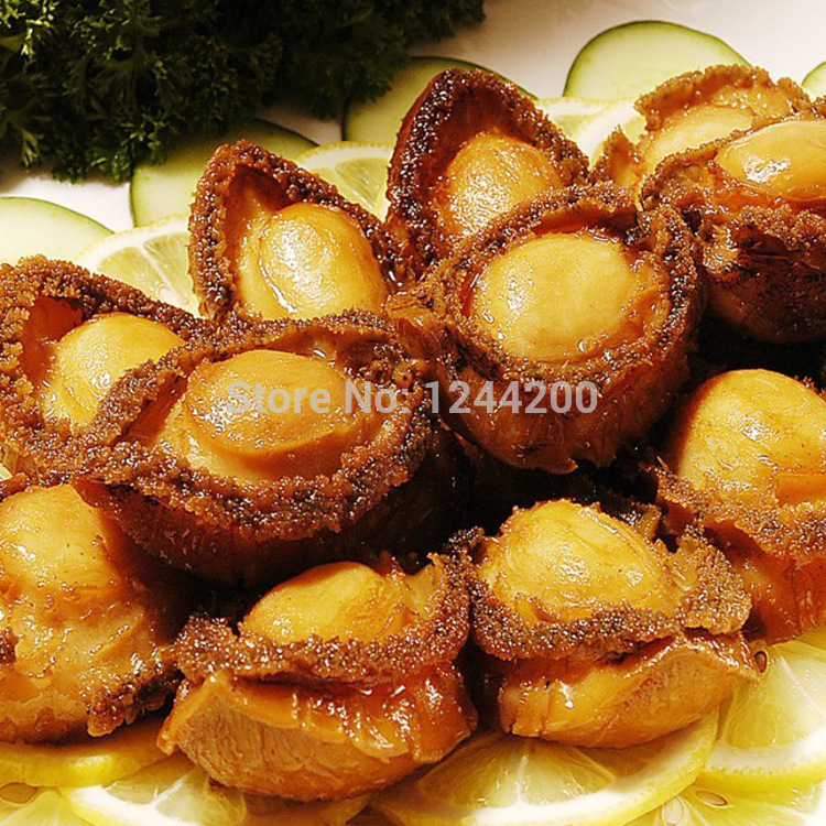 Wholesale Top Grade Chinese shandong Dried seafood large Abalone Dried