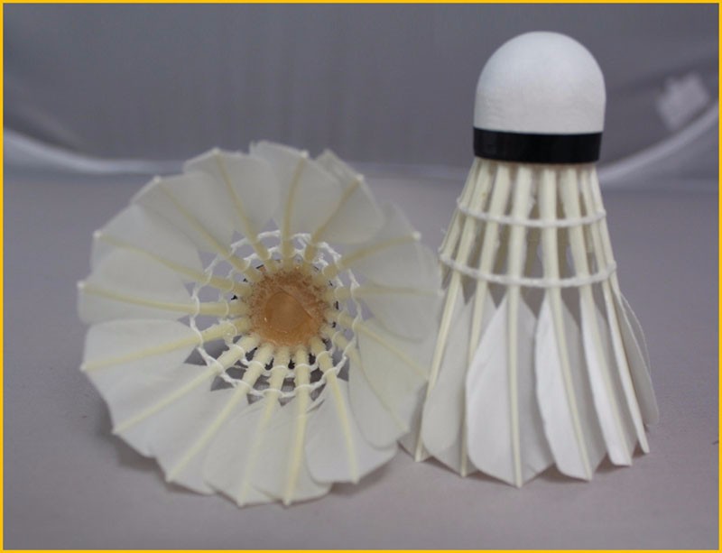 1959684443_984585881