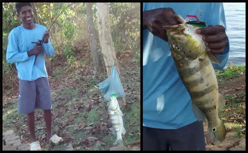 LD seventy three VIB