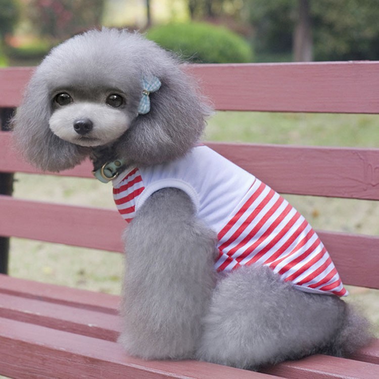 dog vest