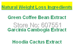 Natural Weight Loss Ingredients Green Coffee Bean Extract Garcinia Cambogia Hoodia Cactus Extract 500mg x 300caps