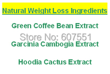 Natural Weight Loss Ingredients Green Coffee Bean Extract+Garcinia Cambogia +Hoodia Cactus Extract 500mg x 300caps free shipping