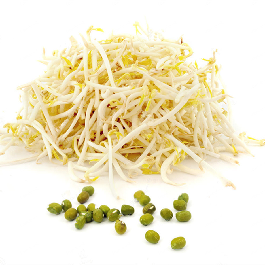 Compare Prices On Bean Sprouts Plant- Online Shopping/Buy Low Price ...