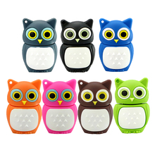Cute Owl USB 2.0 Flash Drives External Storage Pendrive 64GB 32GB 16GB 8GB 4GB 2GB Cartoon Usb Flash Disk best Gift