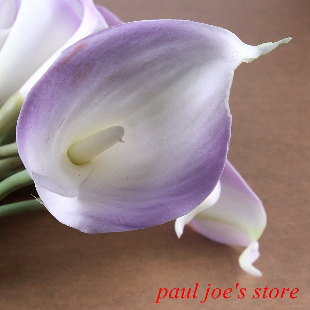 Online Kaufen Großhandel lila calla lilie aus China lila calla lilie