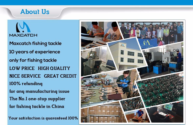 HTB1OgssFVXXXXXsaXXXq6xXFXXXq