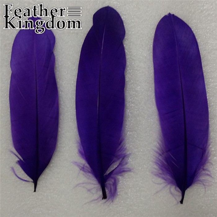 purple goose feather