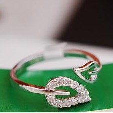 Two leaf imitation diamonds romantic retro Korean female couple rings jewelry influx of people free shipping