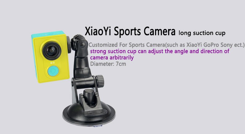 Suction cup