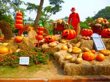 200cm*300cm(6.5x10ft) photo studio background Pumpkin scarecrow pumpkins halloween backgrounds ZJ