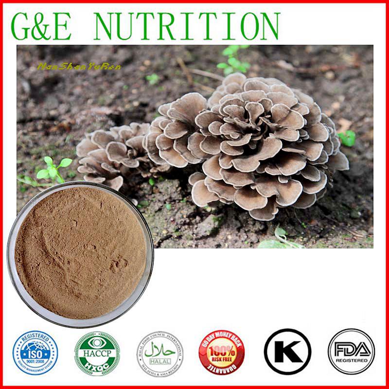 2015 New Maitake Mushroom Extract /  1 KG Grifola frondosa Extract Powder