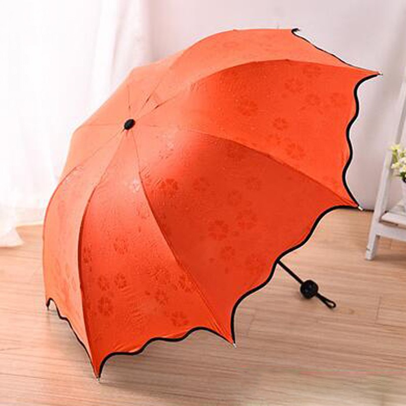 Umbrella-001-19