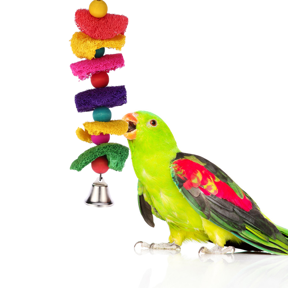         Conure        papegaaien speelgoed
