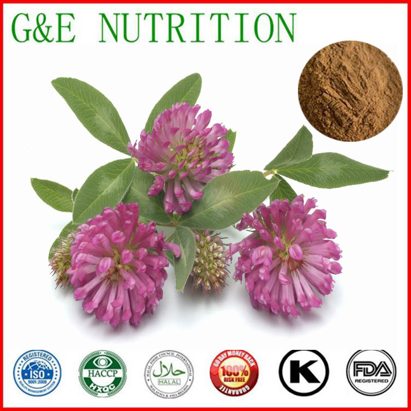 600g Pure Red clover/ Trifolium pratense/ Meadow clover/ Shamrock Extract with free shipping