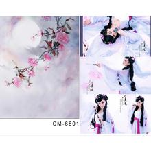 baby background Painting Flowers Birds studio photo 5x7ft(150x220cm)