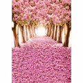 Free shipping 5x7ft vinyl backdrop backgrounds for photo studio children shooting Computer Painted Backdrops P0010
