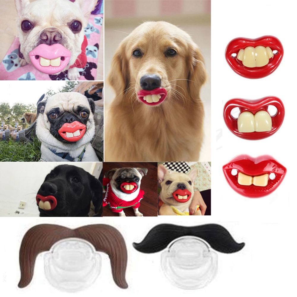 Toys For Dogs With No Teeth Toys For Dogs With No Teeth