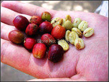 Free Shipping 1KG Arabica CoffeeOriginal High Quality Ethiopia ELIANA Coffee Beans non instant sugar free 1kg