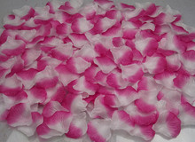 Wedding Rose Petals Silk Rose Flower Petals Leaves Wedding Supplies Favor Party Decoration Carpet Wedding Accessories JV31