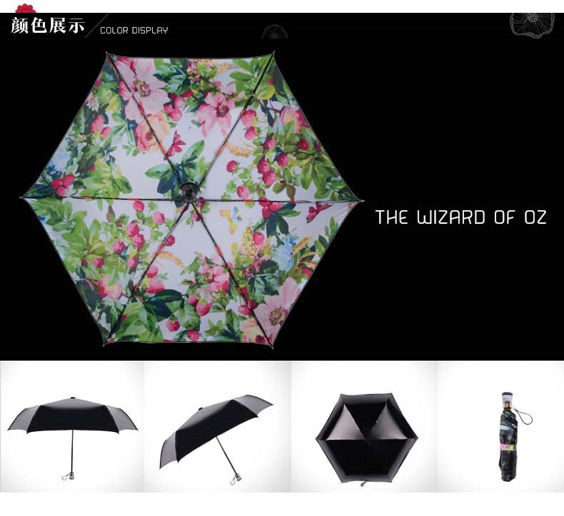 umbrella paraguas parapluie07.jpg