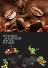 Selected Excellent 227g Tanzania Kilimanjaro Coffee Beans Baking Medium roasted Original green food whole bean coffee