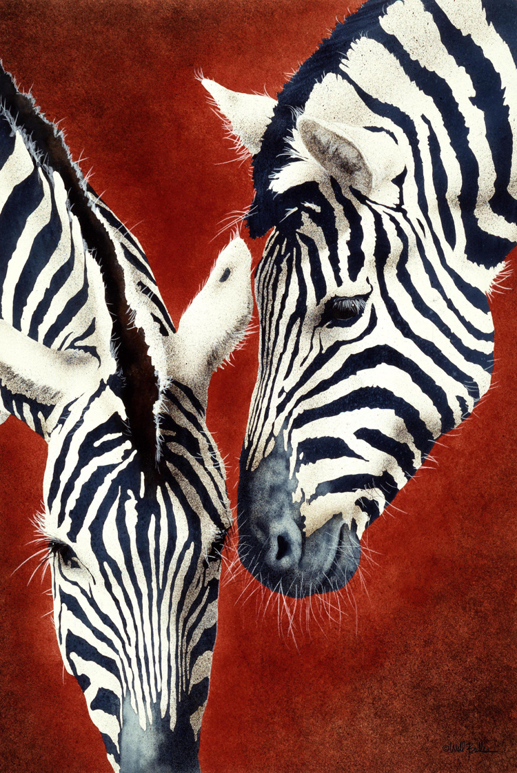 Red Zebra Print for Promotional Red Zebra Print on
