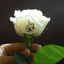2014 new upgraded CE free shipping digital flower printer machine 3 flowers printing machine