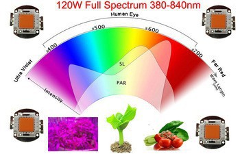 120W grow chip