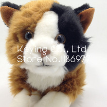 Nueva llegada Original Rare simulación Animal salvaje bosque de noruega gato del gatito de peluche regalo de los niños decoración del hogar del coche