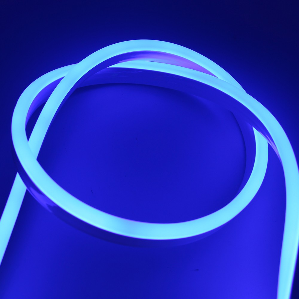 Led Strip Rgb Neon Flex Rope Light Waterproof Ip68 5050 3528 Smd Led Tape 220v 230v Flexible Ribbon Christmas Lights Outdoor 5m Rope Light Led Tape 220vled Strip Rgb Aliexpress