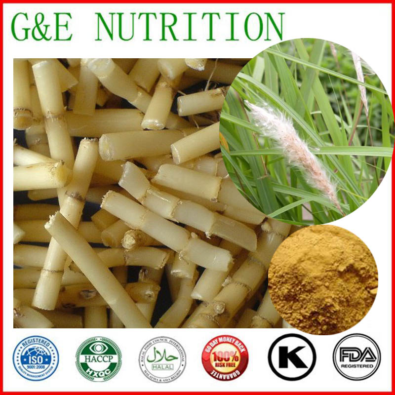 600g Factory Price Lalang Grass Rhizome/Rhizoma imperatae/ Cogongrass rhizome Extract with free shipping