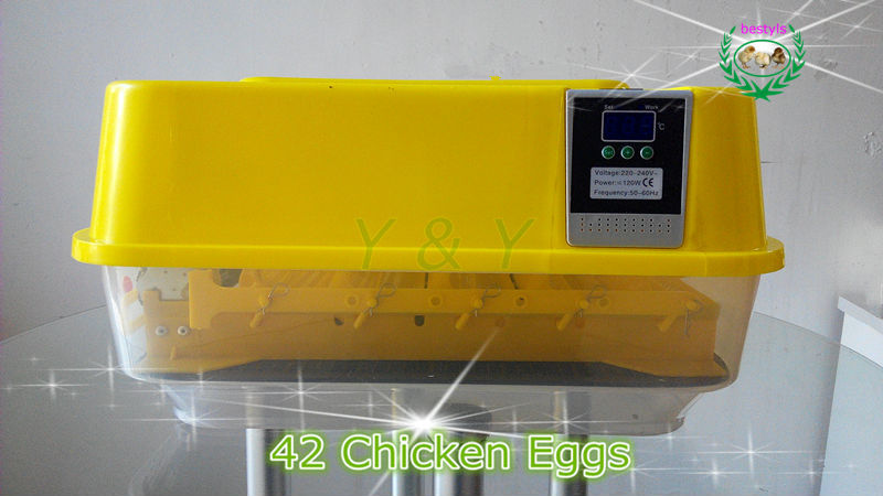  egg incubator 39~42 eggs homemade incubator new egg tray for sale