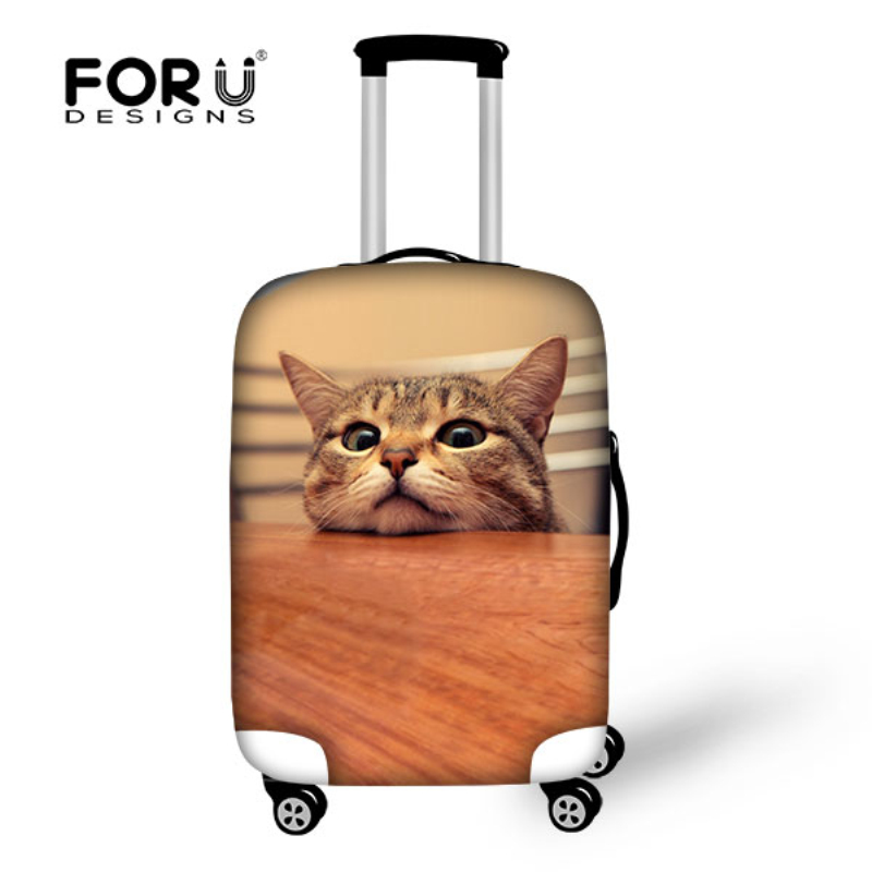 animal cabin luggage