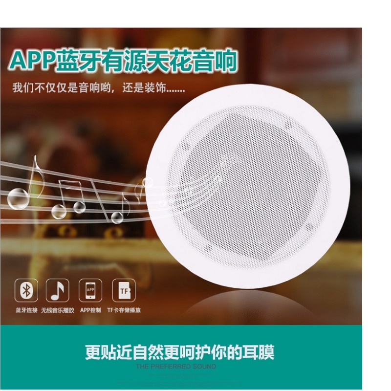 Bluetooth Ceiling Speaker Stereo Active Speaker Mobile App Control Main Home Speaker Bluetooth Ceiling Speaker Stereo Active Speaker Mobile App Control Main Home Speaker