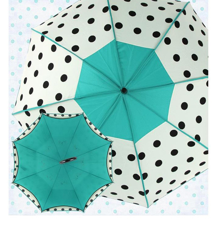 umbrella paraguas umbrella05.jpg