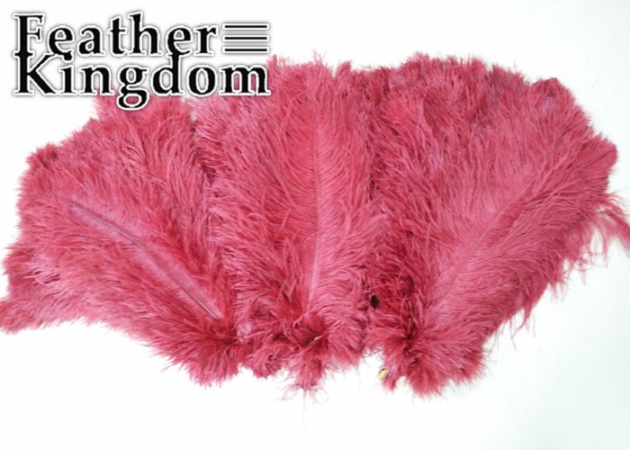 wine red ostrich feather 3-700