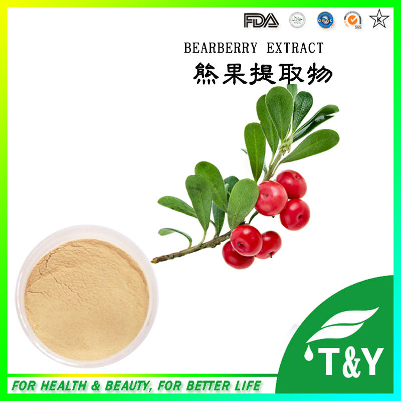 Фотография Bearberry leaf extract Ursolic acid 25%-98%/Uva Ursi Leaf Extract/Xiong guo extract(Ting)