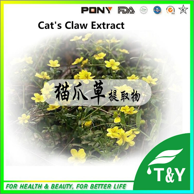 100% Natural Cat Claw Extract powder Radix Ranunculi Ternati