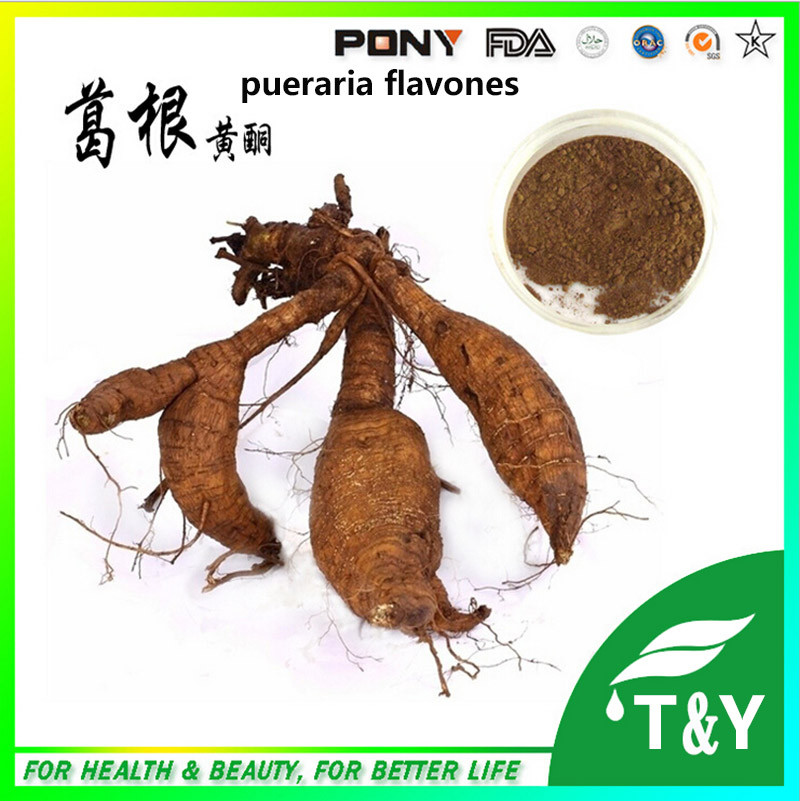 Best Sells Product Kudzu Root Extract/Puerarin/Pueraria Mirifica Powder