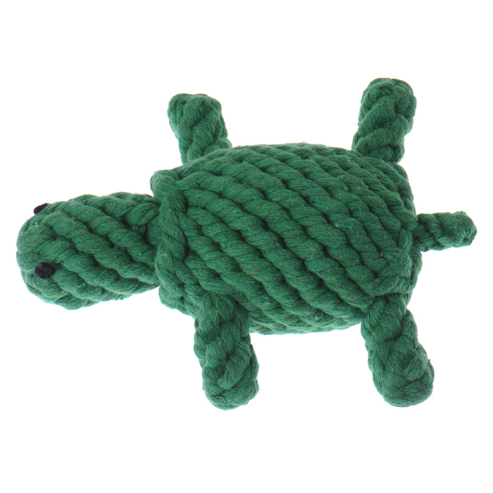 DY389-Turtle (2)