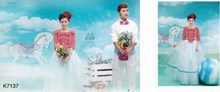 3m*6m Hand painted Muslin wedding Backdrop K7137,toile de fond studio photo ,photo studio props baby,photography studio backdrop