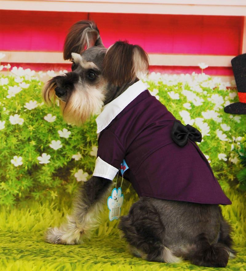 Popular Dog TuxedoBuy Cheap Dog Tuxedo lots from China Dog Tuxedo